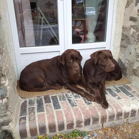 La Petite Houssaye לינה וארוחת בוקר Villiers-Fossard