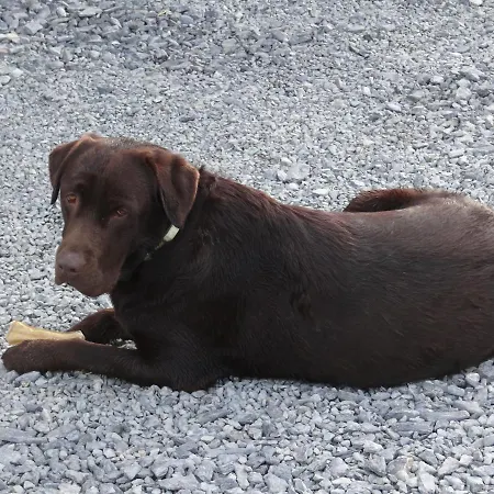 Panzió La Petite Houssaye