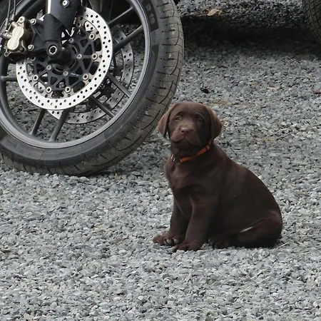 La Petite Houssaye Villiers-Fossard