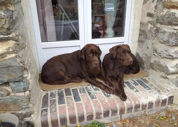 La Petite Houssaye فندق مبيت وإفطار Villiers-Fossard