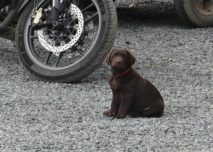 La Petite Houssaye Villiers-Fossard